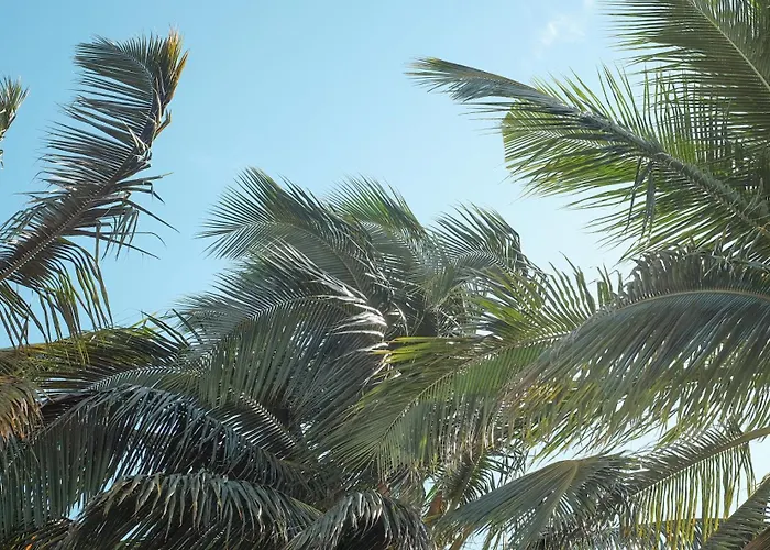 Chic Home With Private Pool, 1 Min To Beach